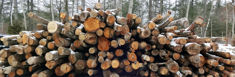 cut logs